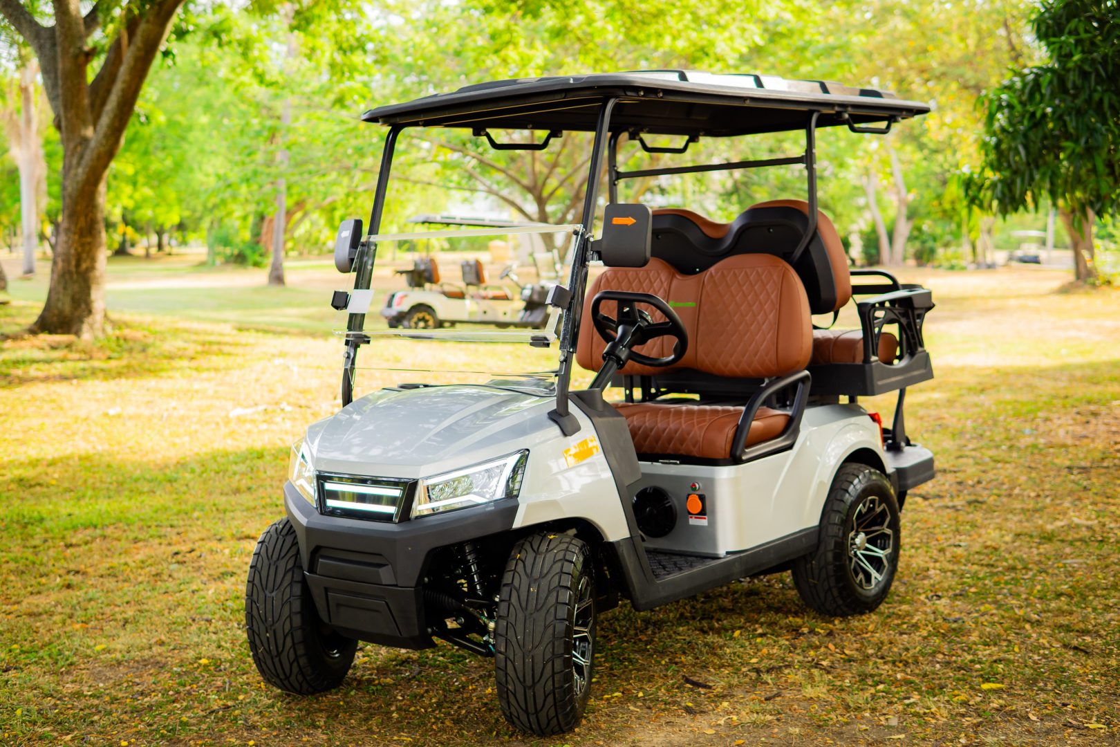 GMT ELECTRICO NOT LIFTED FAIRWAY 4P - Multimedia 18