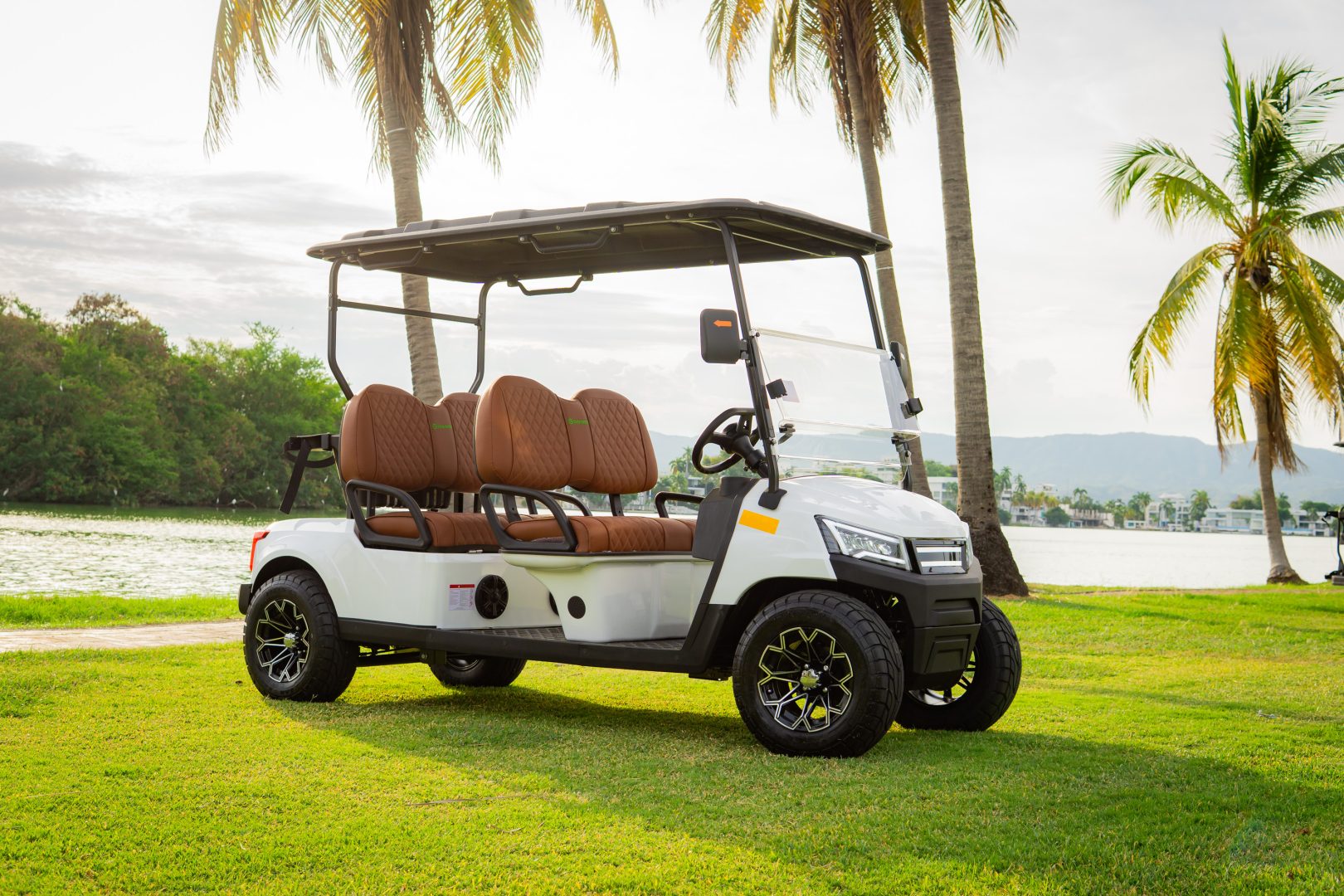 GMT ELECTRICO NOT LIFTED FAIRWAY 4S - Multimedia 11