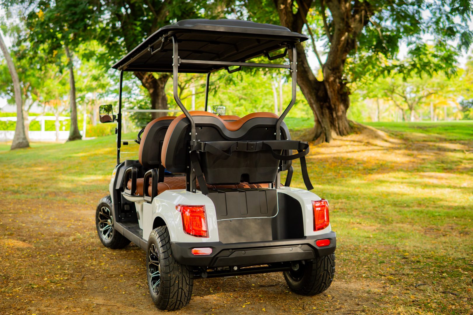 GMT ELECTRICO NOT LIFTED FAIRWAY 4S - Multimedia 5