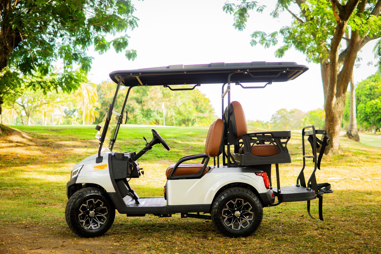 GMT ELECTRICO NOT LIFTED FAIRWAY 4P - Multimedia 2