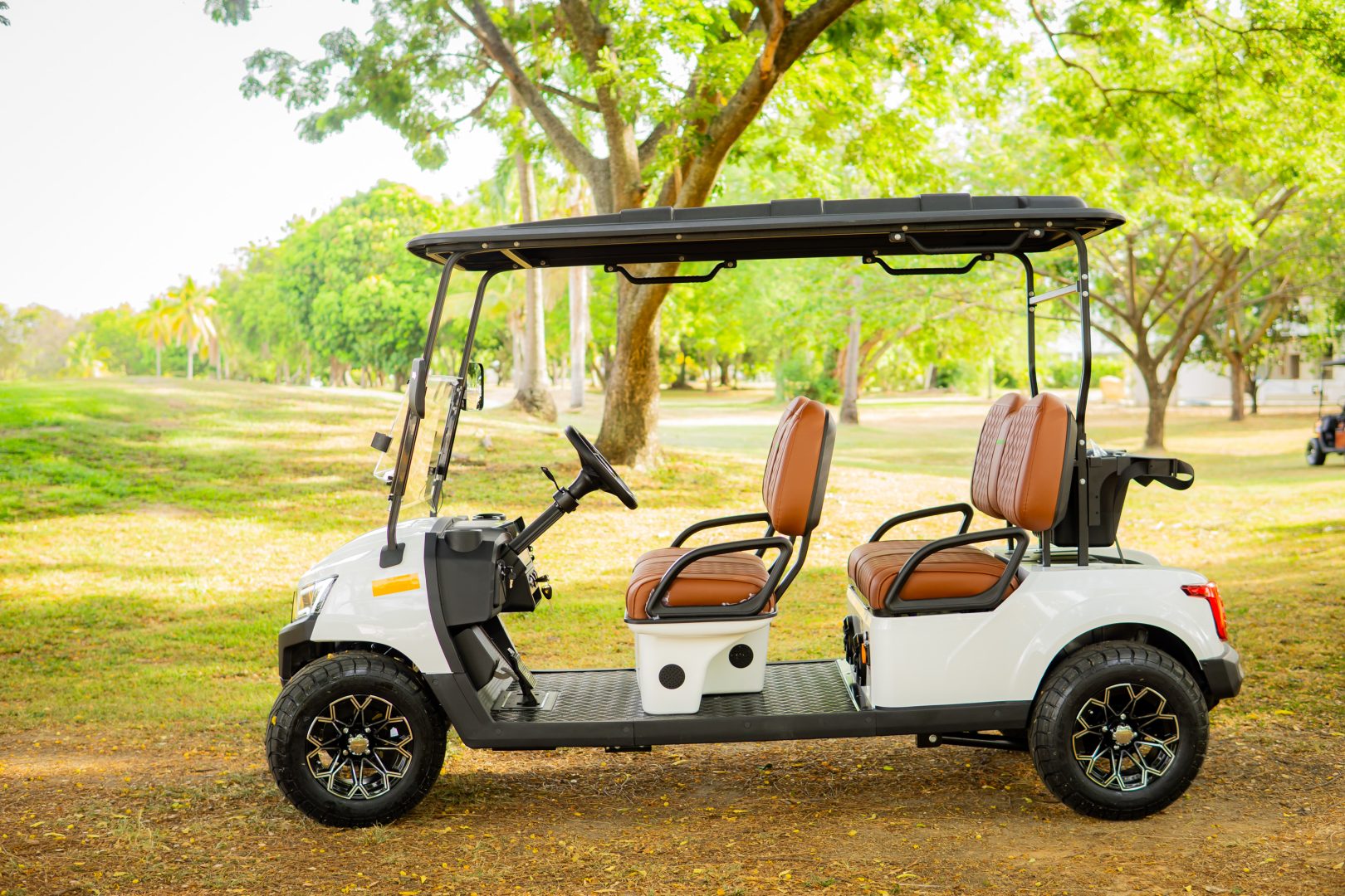 GMT ELECTRICO NOT LIFTED FAIRWAY 4S - Multimedia 4