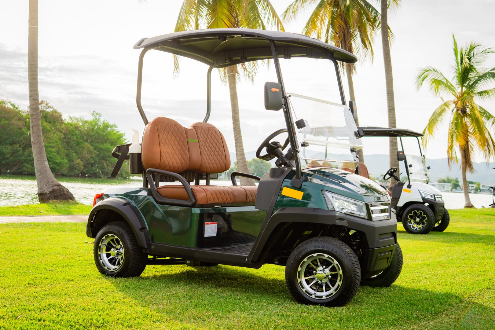 GMT ELECTRICO NOT LIFTED FAIRWAY 2P - Multimedia 8