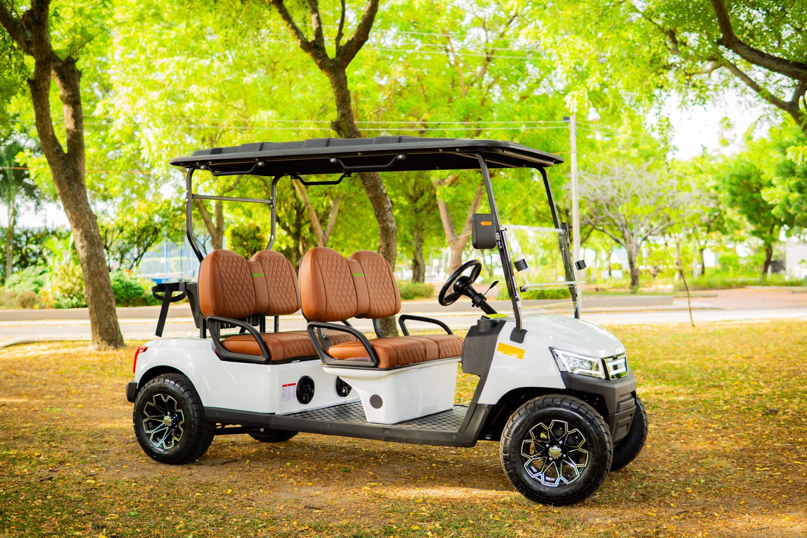 GMT ELECTRICO NOT LIFTED FAIRWAY 4S - Multimedia 2