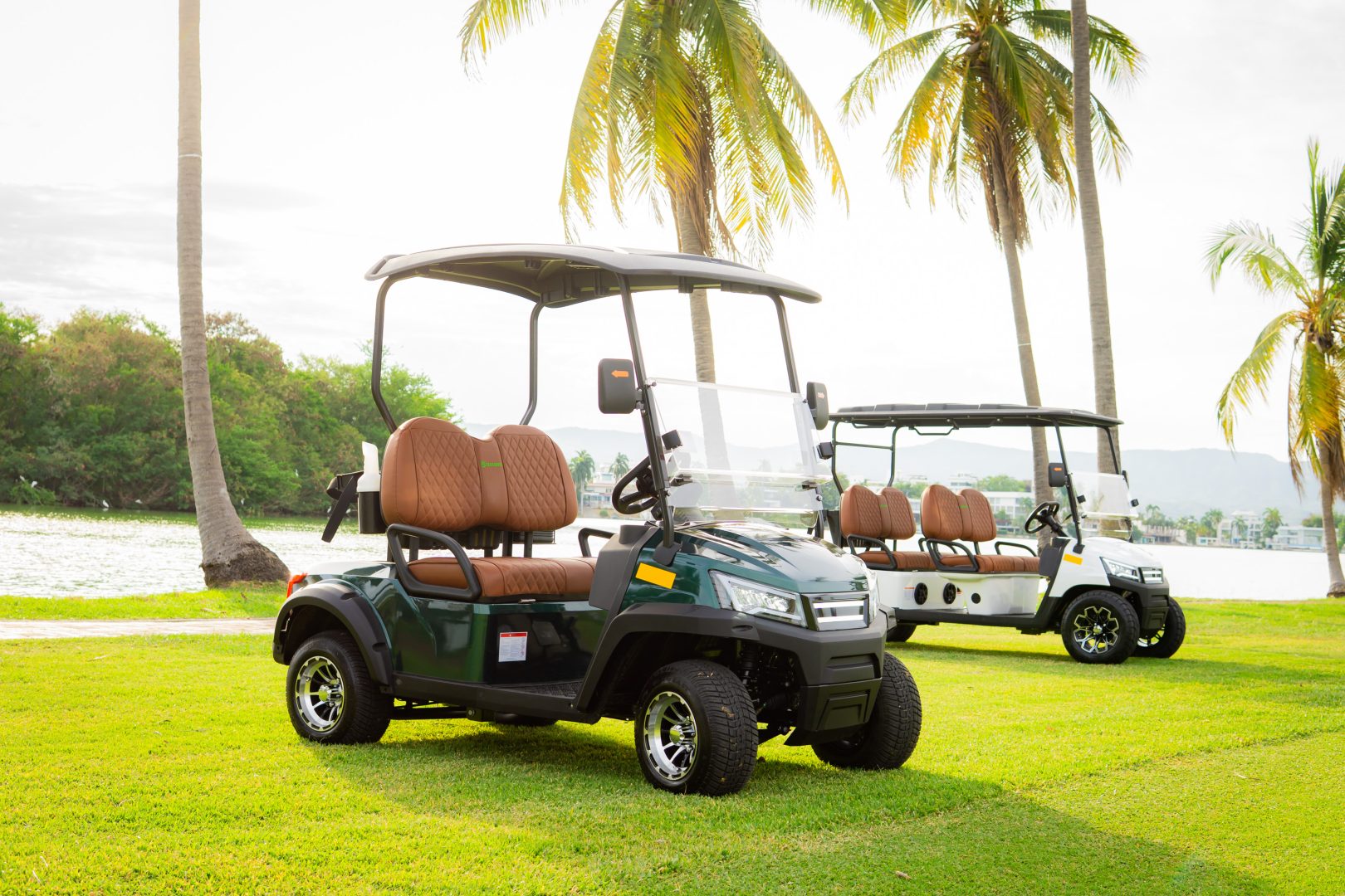 GMT ELECTRICO NOT LIFTED FAIRWAY 2P - Multimedia 6