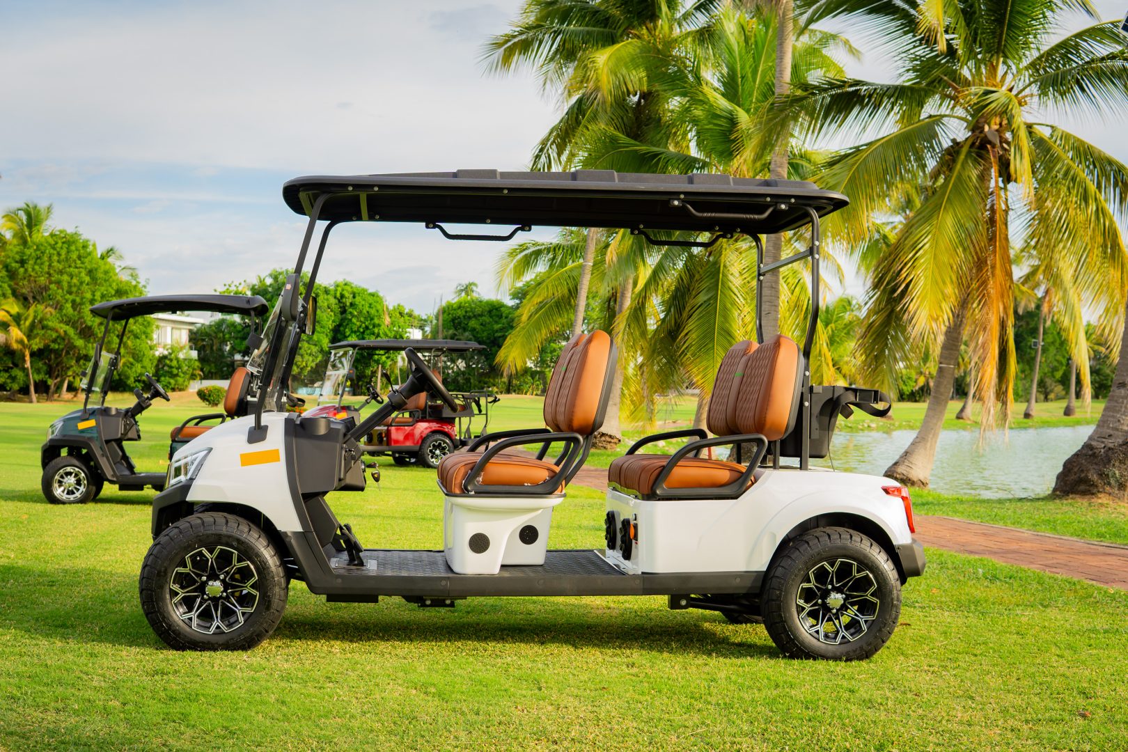 GMT ELECTRICO NOT LIFTED FAIRWAY 4S - Multimedia 8