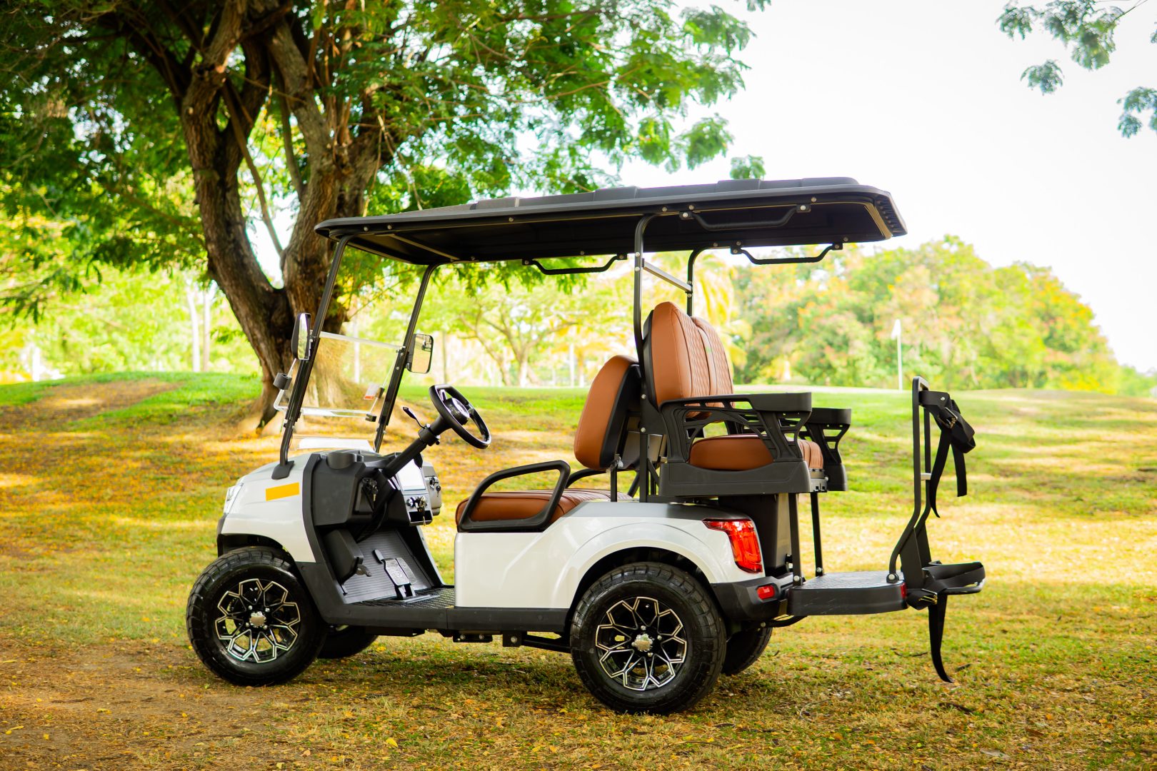 GMT ELECTRICO NOT LIFTED FAIRWAY 4P - Multimedia 6