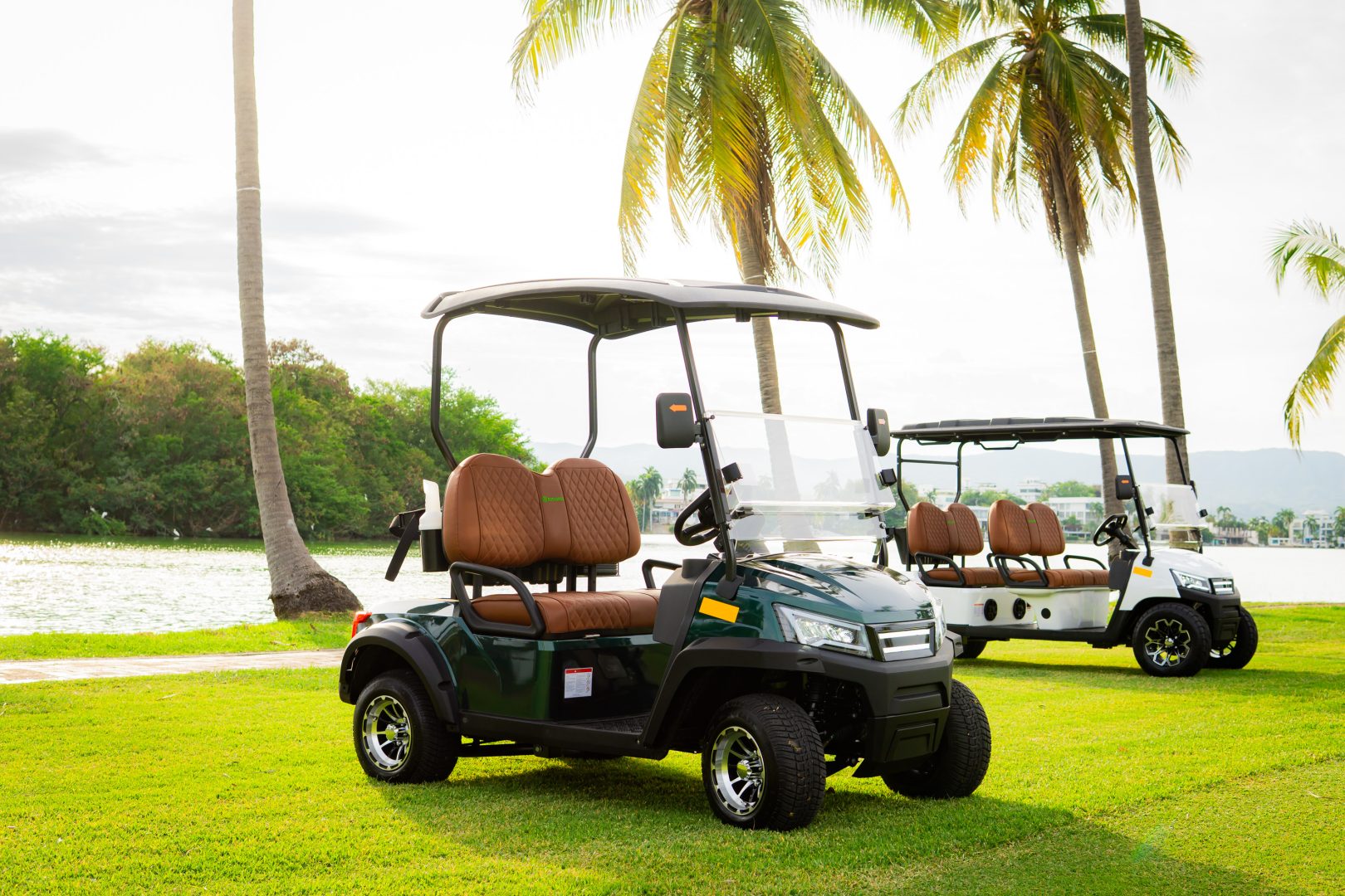 GMT ELECTRICO NOT LIFTED FAIRWAY 2P - Multimedia 5