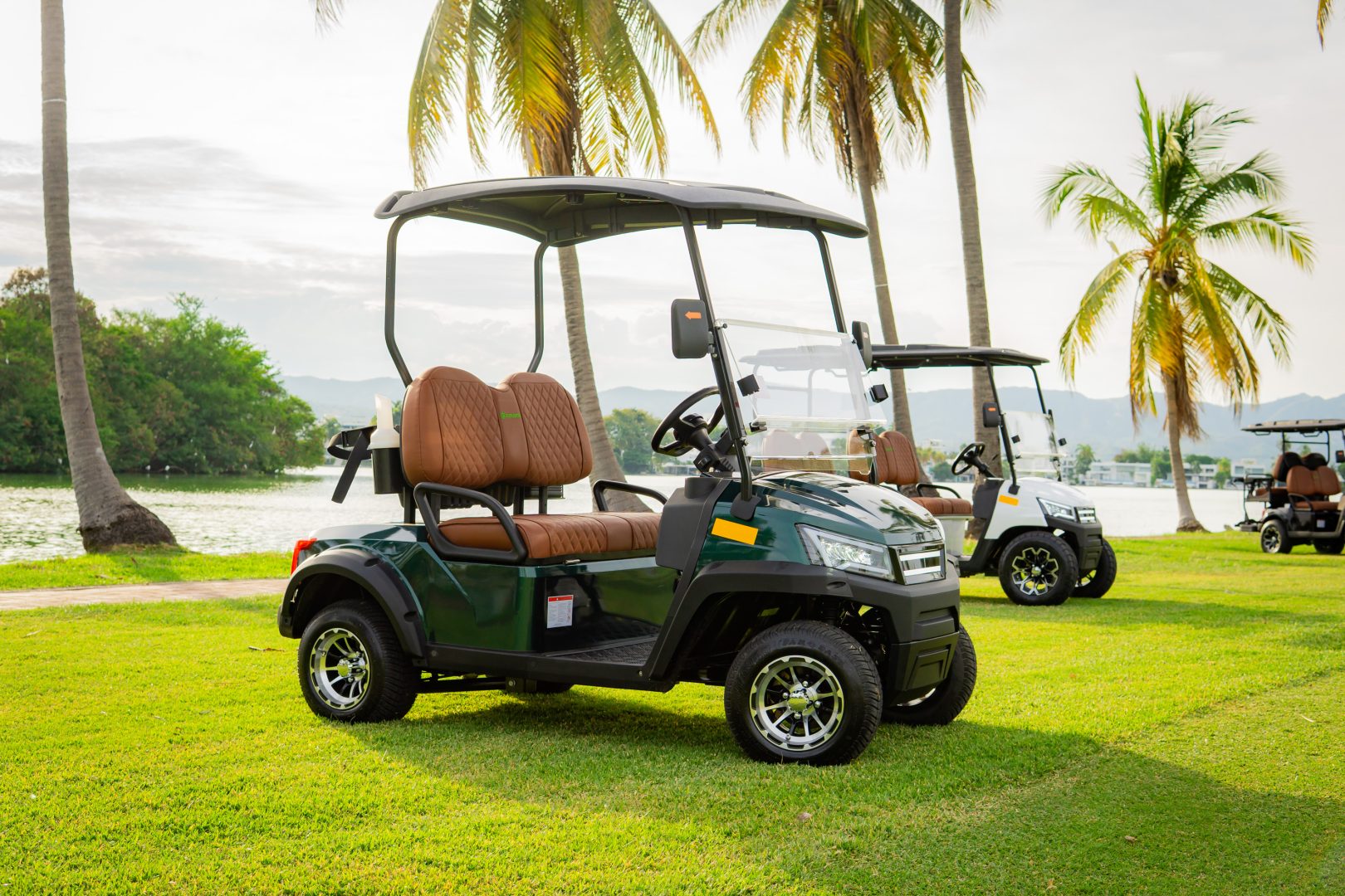 GMT ELECTRICO NOT LIFTED FAIRWAY 2P - Multimedia 9