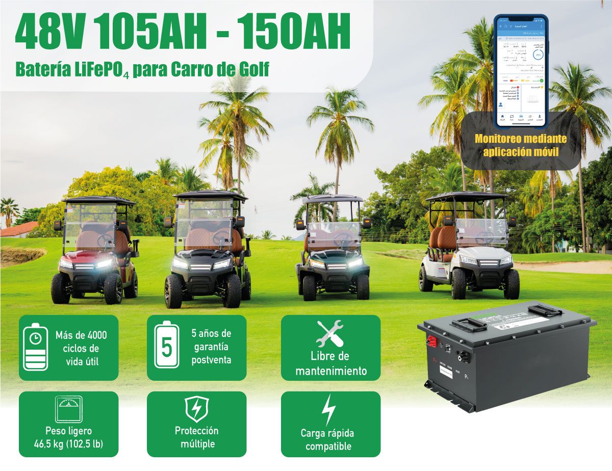 Baterías de Litio GMT – Tipo LiFePO₄